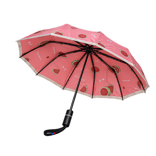 8 Rib BMW Fruity Umbrella – Compact, Stylish & Bag-Friendly