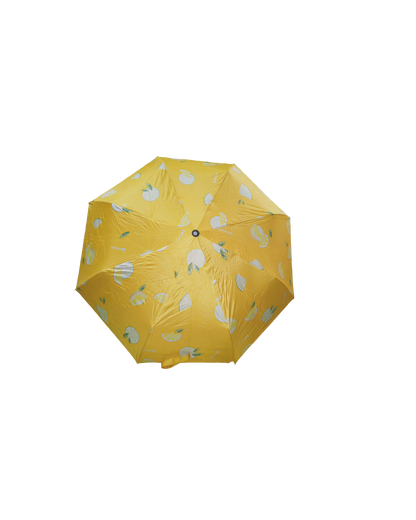8 Rib BMW Fruity Umbrella – Compact, Stylish & Bag-Friendly