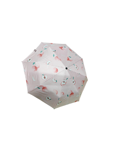 8 Rib BMW Fruity Umbrella – Compact, Stylish & Bag-Friendly