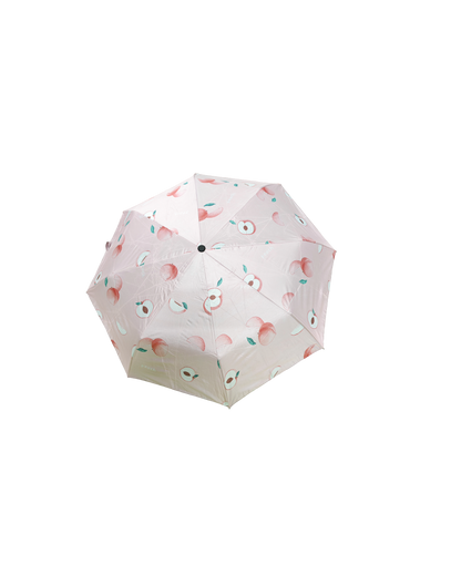 8 Rib BMW Fruity Umbrella – Compact, Stylish & Bag-Friendly