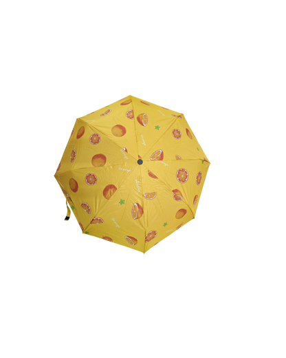 8 Rib BMW Fruity Umbrella – Compact, Stylish & Bag-Friendly